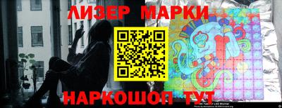 гидропоника Дубна
