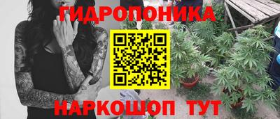 гидропоника Дубна